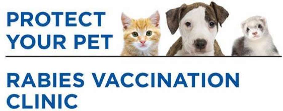 free shot clinic for cats