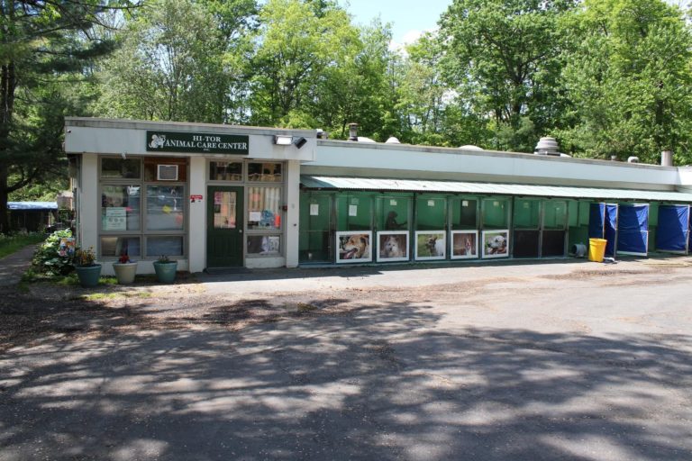 hi tor animal shelter board of directors hi tor animal shelter board of directors